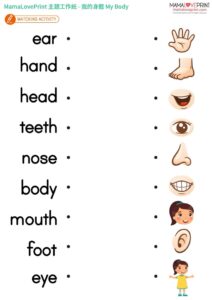 Body parts for third grade 