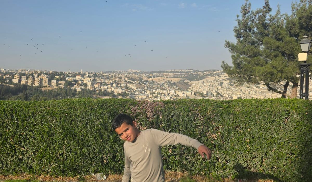 807e7509-8bf2-40dd-bedb-85f89a298e9a