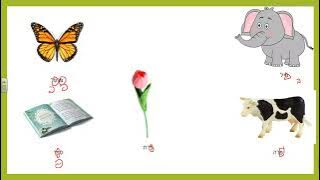 Read more about the article האות פ