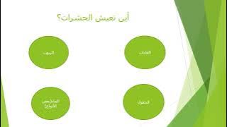 Read more about the article الحشرات