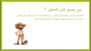 Read more about the article موسم الزيتون والحصاد