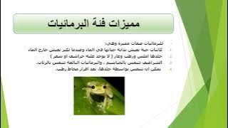 Read more about the article البرمائيات