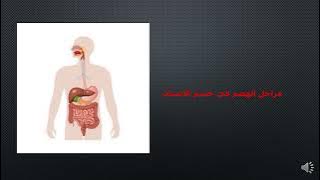 Read more about the article الجهاز الهضمي