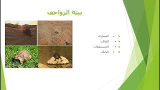 Read more about the article الزواحف