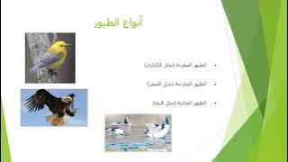 Read more about the article الطيور