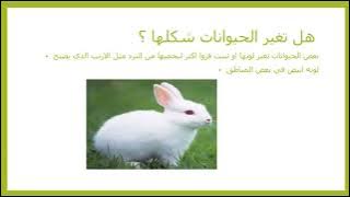 Read more about the article الحيوانات فصل الخريف