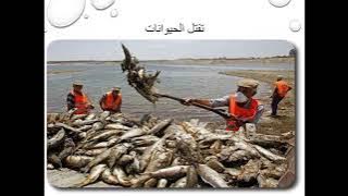 Read more about the article تلوث المياه