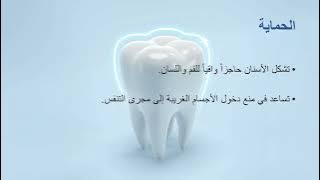 Read more about the article وظائف الاسنان