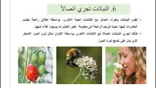 Read more about the article النباتات ككائنالت حية