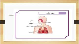 Read more about the article جهاز التنفس عند الإنسان