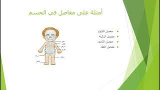 Read more about the article المفاصل