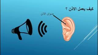 Read more about the article حاسة السمع