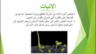 Read more about the article مراحل نمو النبتة
