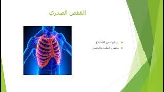 Read more about the article العظام