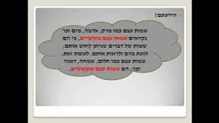 Read more about the article שמות עצם