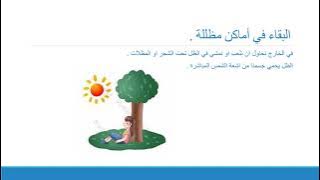 Read more about the article الوقاية والحذر في الصيف