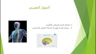 Read more about the article اجهزة جسم الانسان