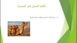 Read more about the article تاقلم الحيوان مع البيئة الحياتية