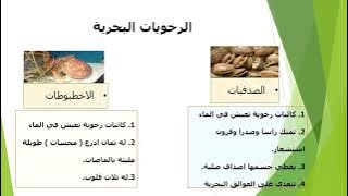 Read more about the article الرخويات