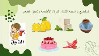 Read more about the article الحواس الخمس