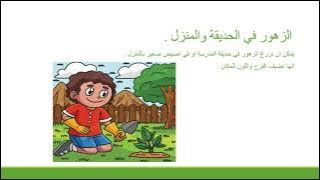 Read more about the article الزهور والنباتات في فصل الربيع