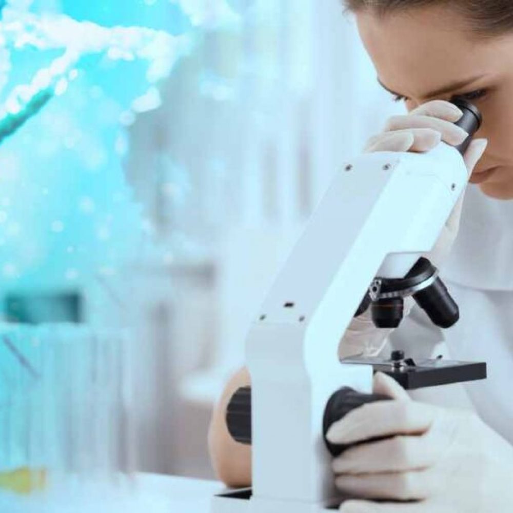 xr:d:DAEClStYeek:1648,j:6723165533581197977,t:24013106